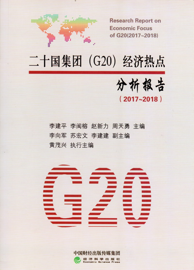 狠狠地抽插电影二十国集团（G20）经济热点分析报告（2017-2018）